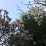 img_0509